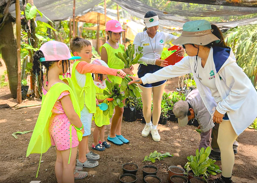 Actividades dentro del hotel para niños